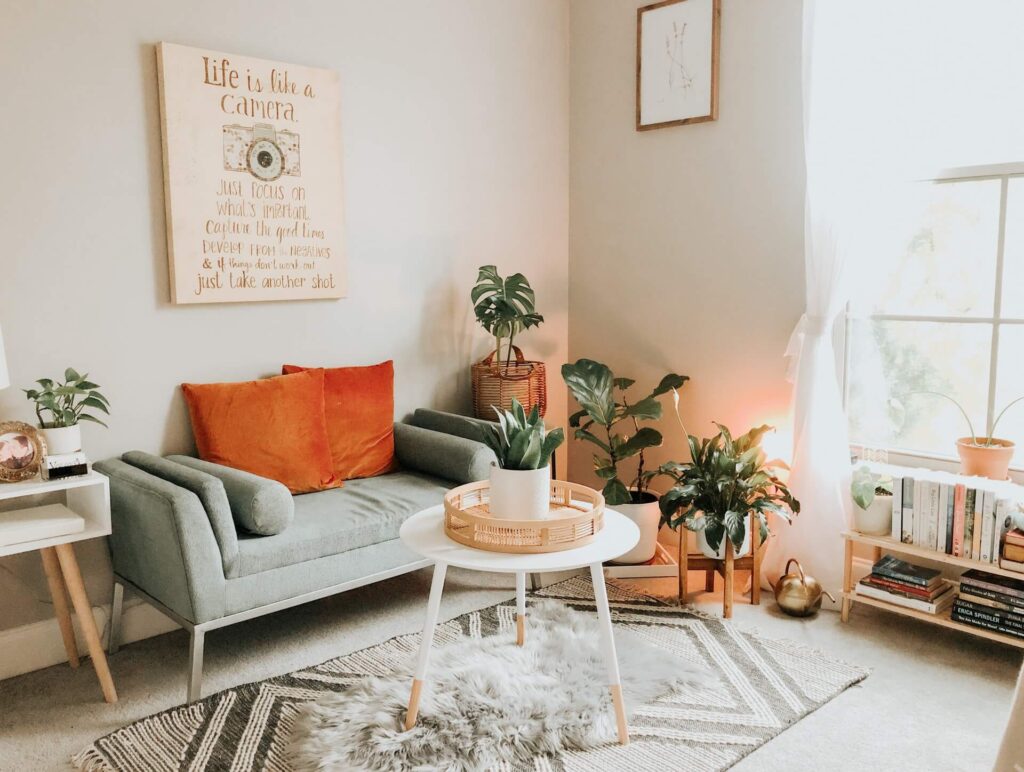 Picture of plants in living room