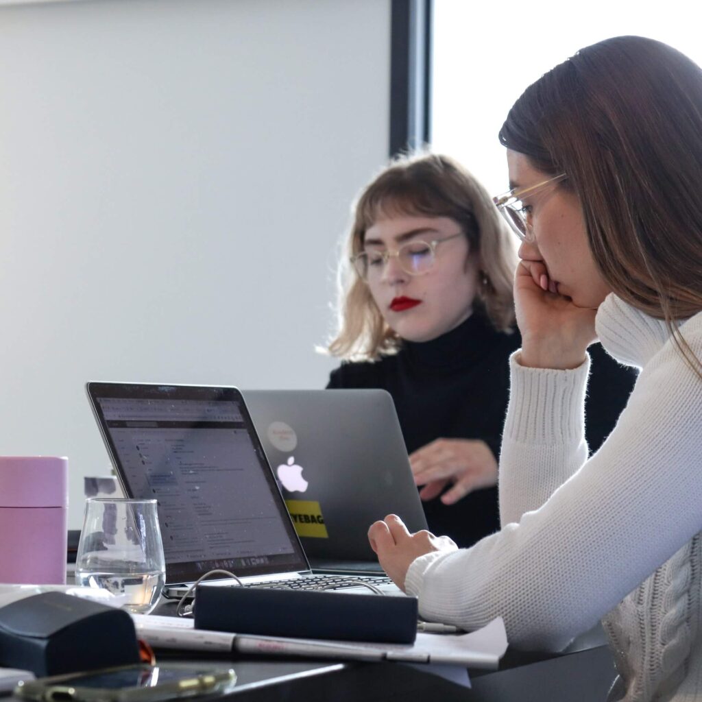 Picture of Two Womens working on laptop - Social Networking