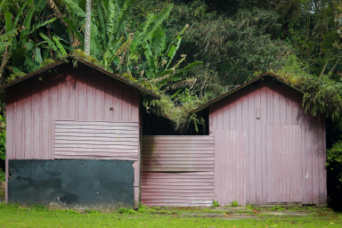 Picture of Yard Metal Shed by forest