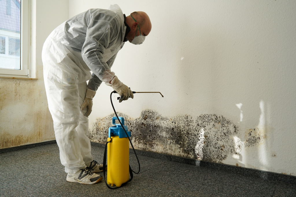Picture of man restoring property after water damage