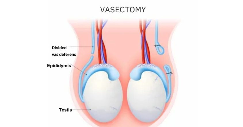 How-to-Talk-to-Loved-Ones.